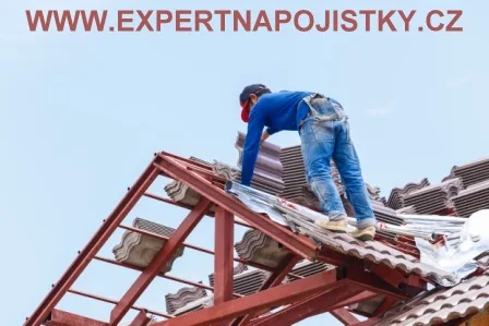71. Jak se úraz stal? Pan uklouzl a spadl ze střechy